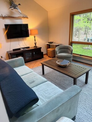 Smart TV, books - Lynch Mountain Retreat (Cooperstown)