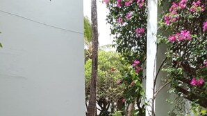 A garden with a white wall, a grassy area, and pink flowering plants. - 3 Bedroom Apartment In Nyali (Mombasa)