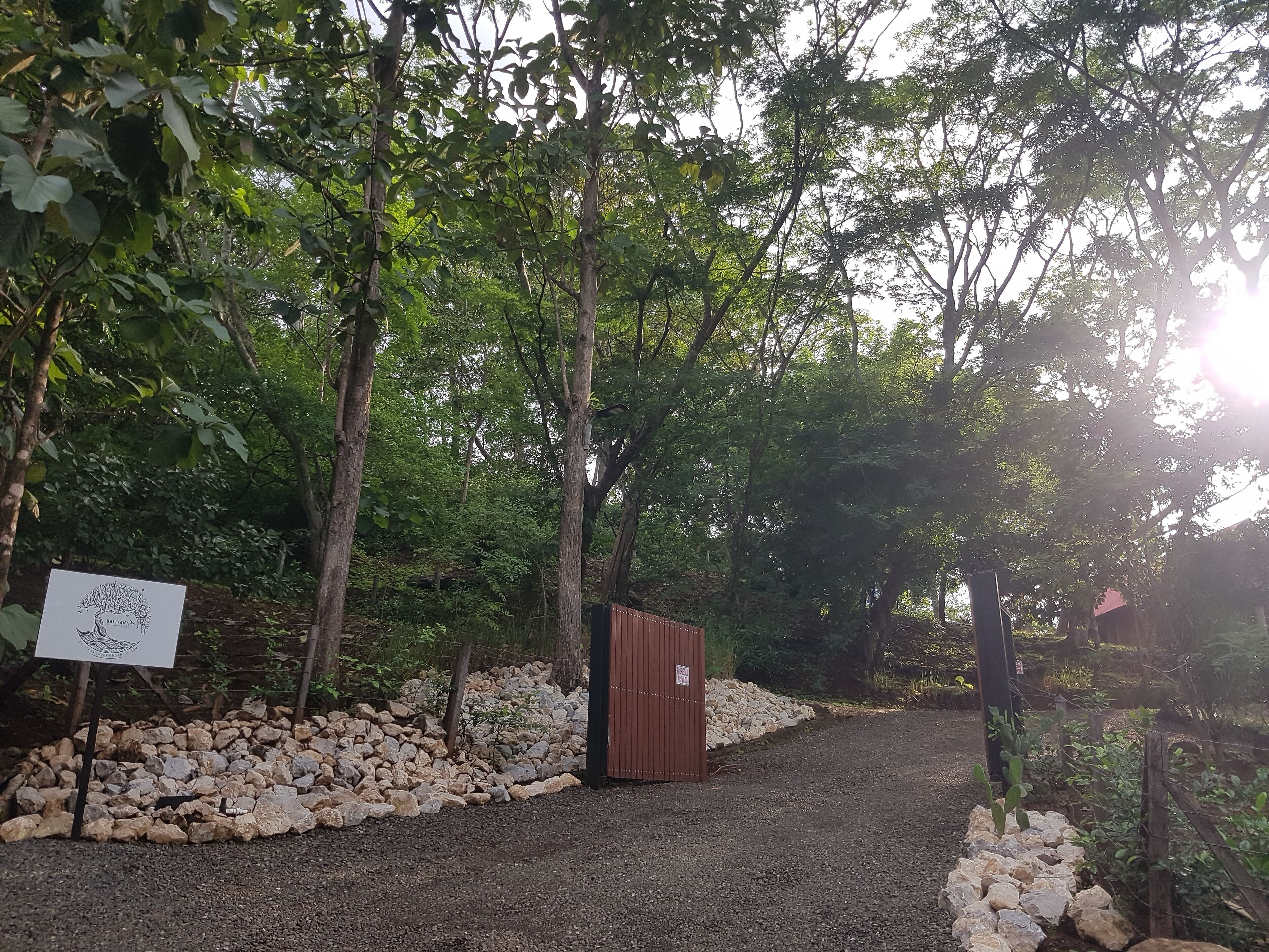 Un chemin de gravier traverse une zone boisée et mène à une structure en bois sur laquelle est fixée une pancarte.