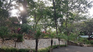 Ein Garten mit Kiesweg, Steinmauer und verschiedenen Bäumen.