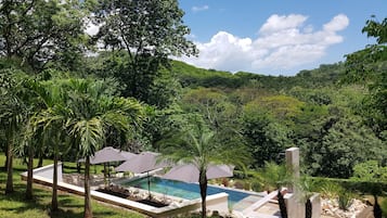 Piscina externa