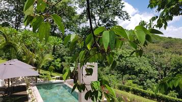 A pool area with a view of lush greenery and a clear sky.