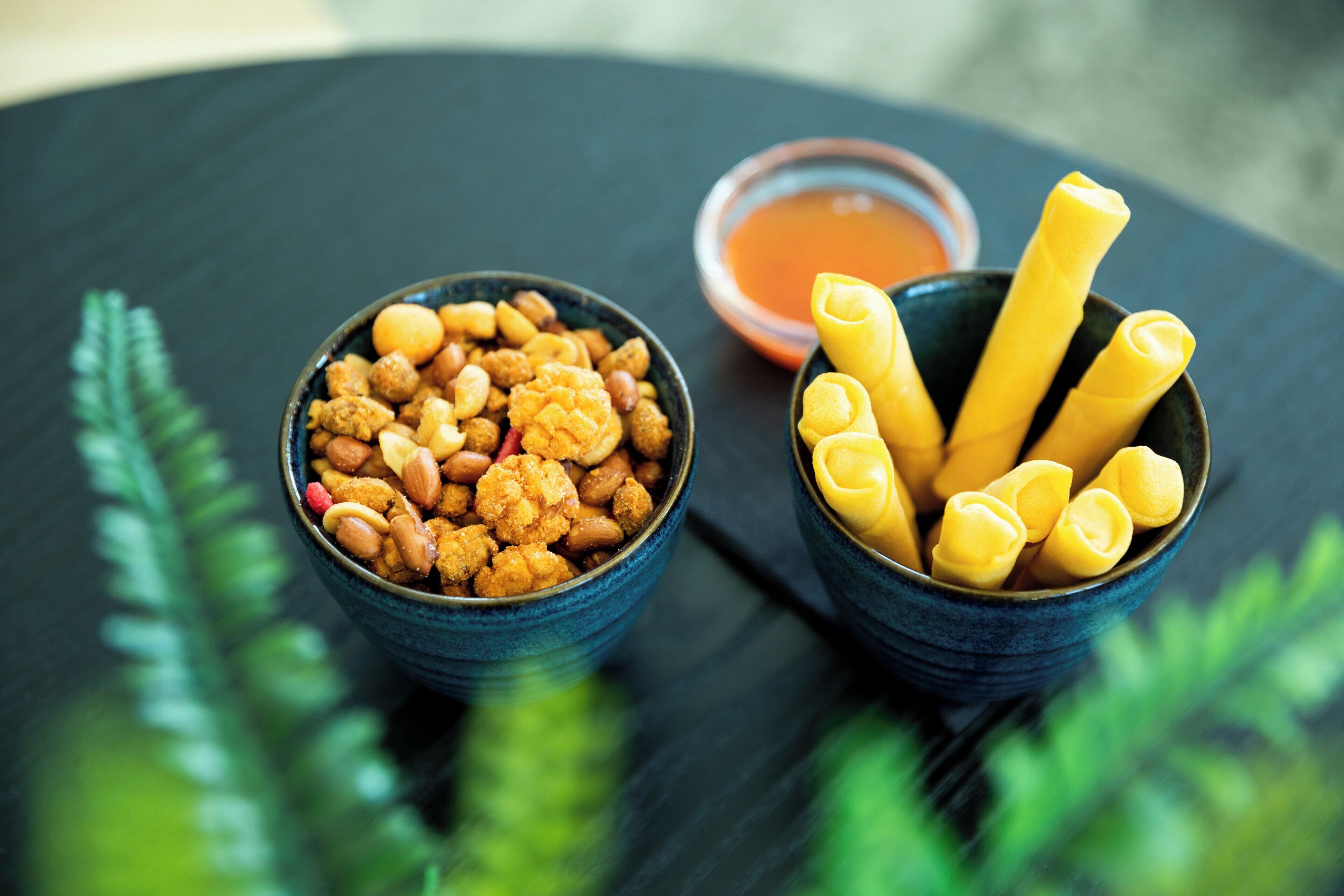 Two bowls of food on a table with a plant in the background.
