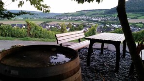 Outdoor dining - Well-kept vacation home in the middle of the vineyards. Apartment 3, short vacation on request (Osann)