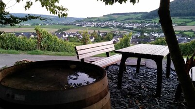 Well-kept vacation home in the middle of the vineyards. Apartment 3, short vacation on request