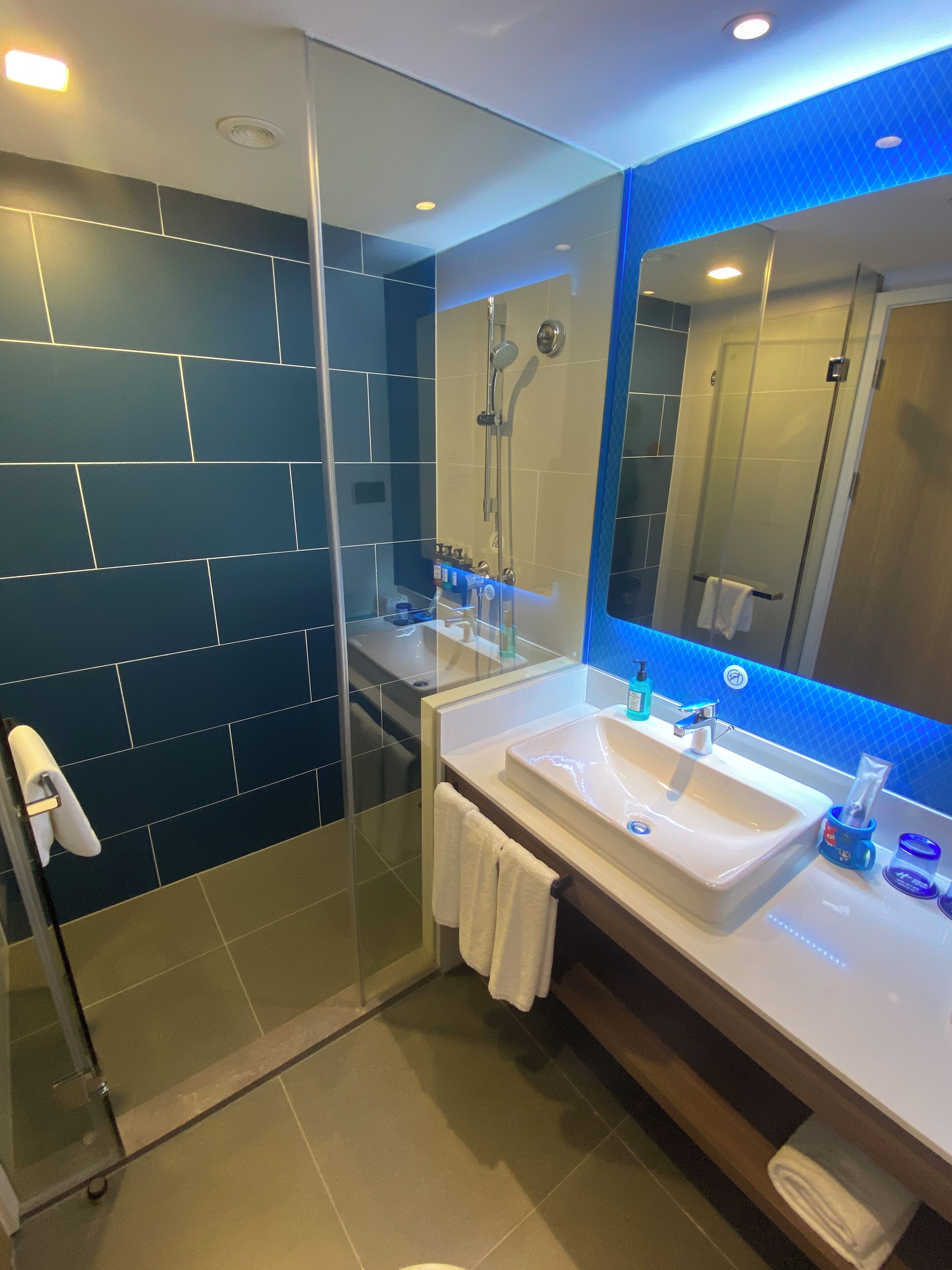 A modern bathroom with a glass-enclosed shower, a white sink, and a large mirror.
