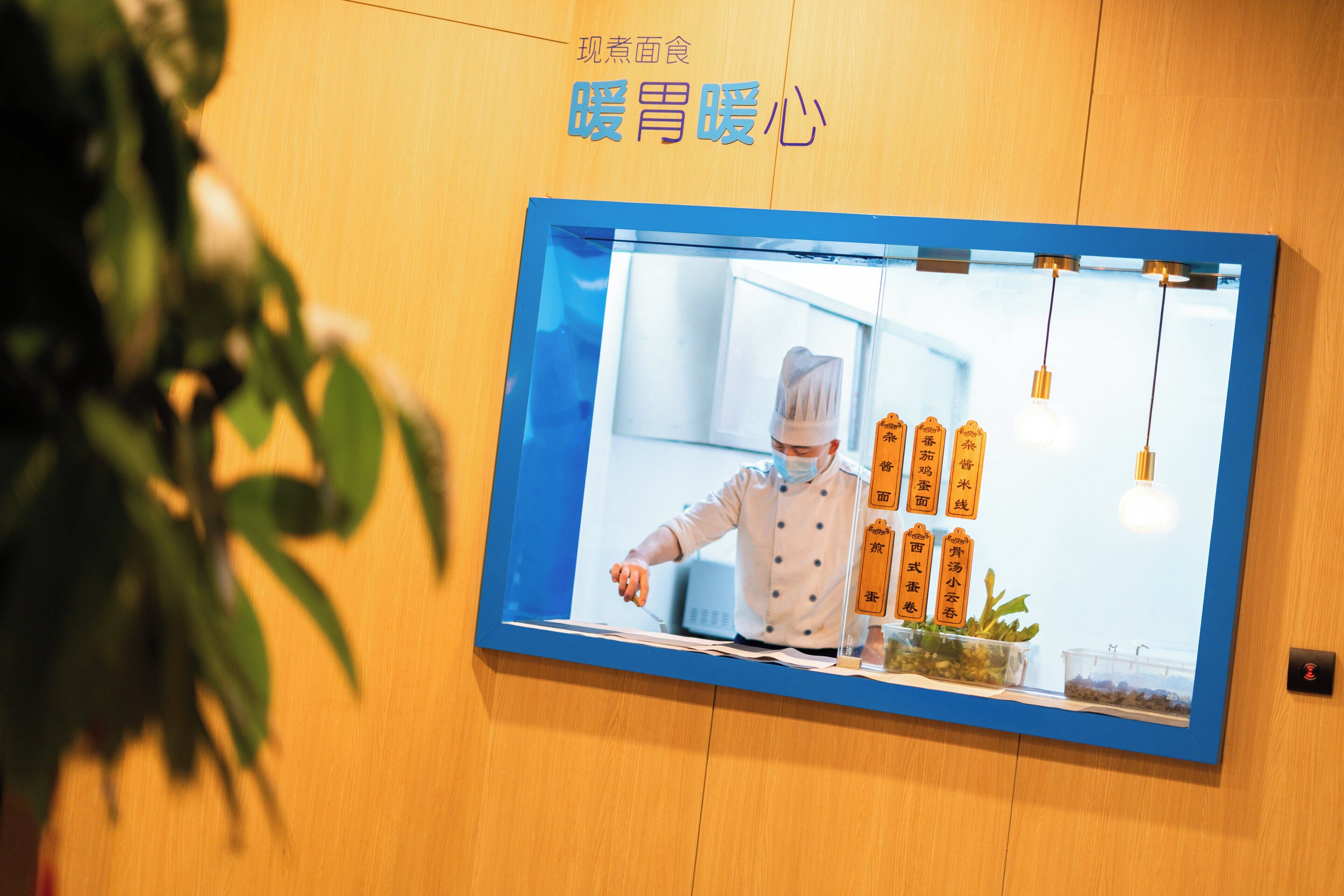 Une photographie encadrée représentant un chef dans une cuisine, avec un cadre bleu, un mur en bois et une plante sur le côté gauche.