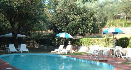 Villa with 2 spacious apartments for 2 x 7 people and swimming pool near Pisa and the sea