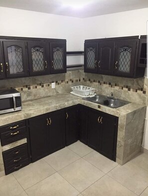 전자레인지, 블렌더, 친환경 청소 제품, 제빙기