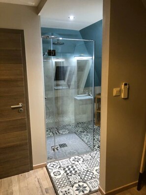 Shower, hair dryer, towels, toilet paper