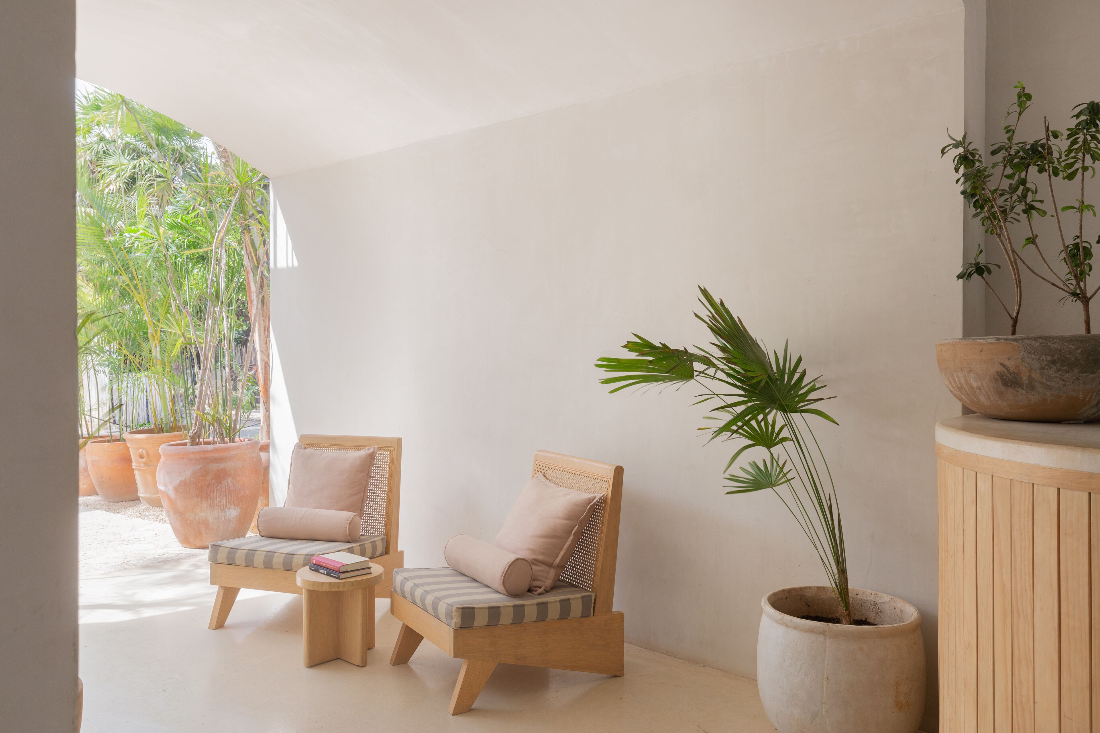 A room with two wooden chairs with cushions, a large potted plant, and a wooden cabinet.