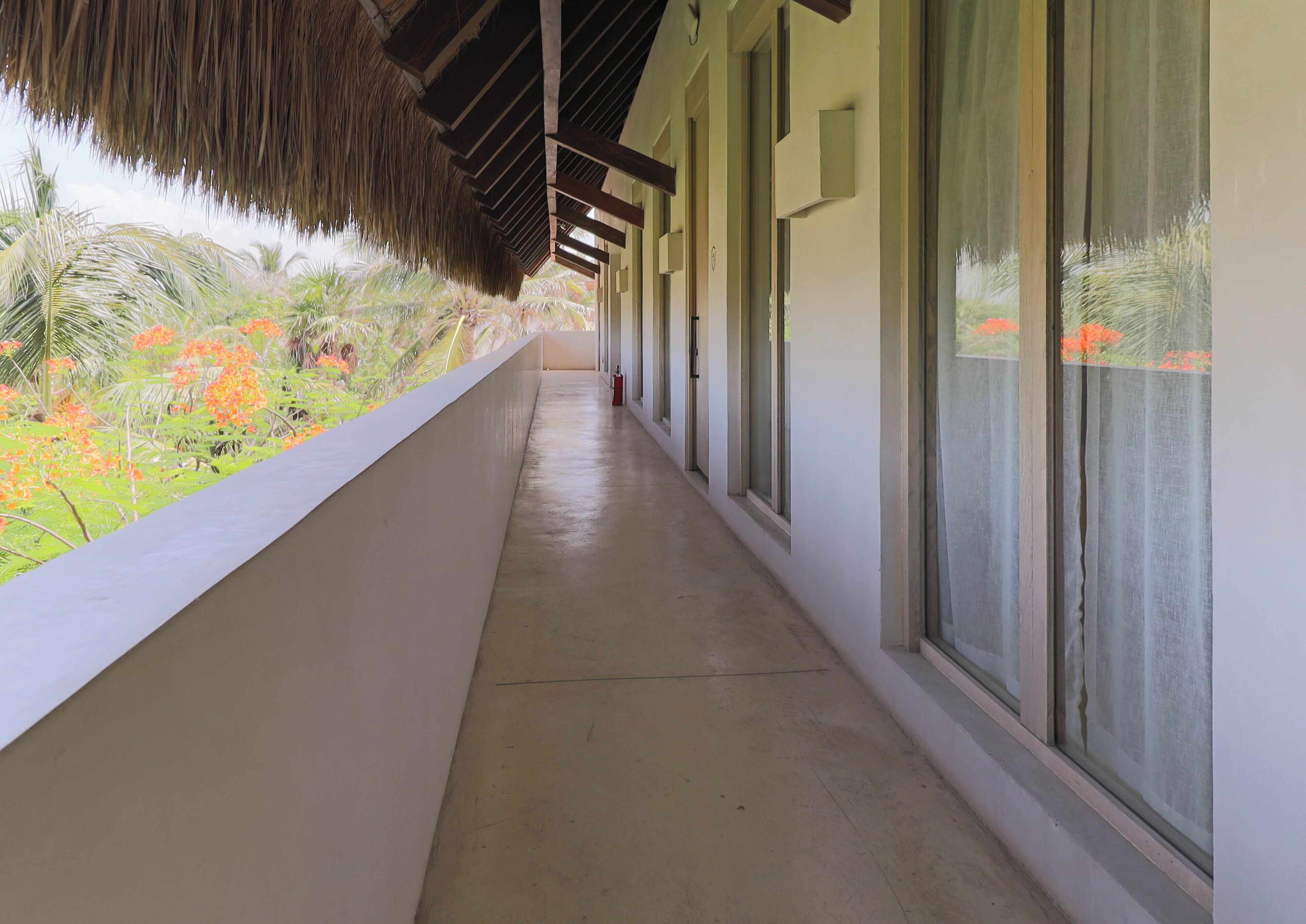 A corridor with a thatched roof, large windows, and a view of tropical vegetation.
