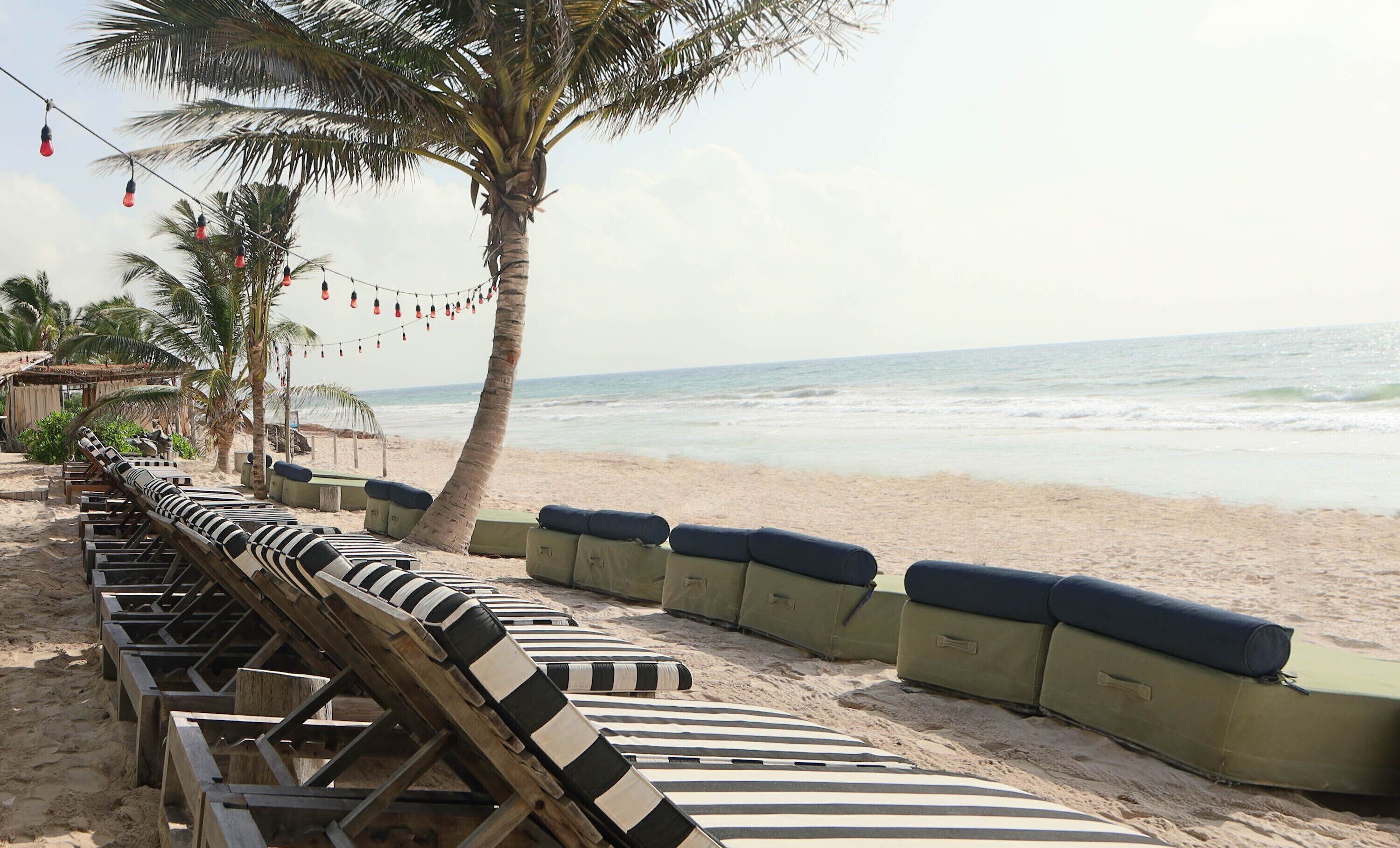 Un espace de détente aménagé au bord de la plage, avec des chaises longues à rayures et des sièges rembourrés de couleur verte, des palmiers et une vue sur l’océan.