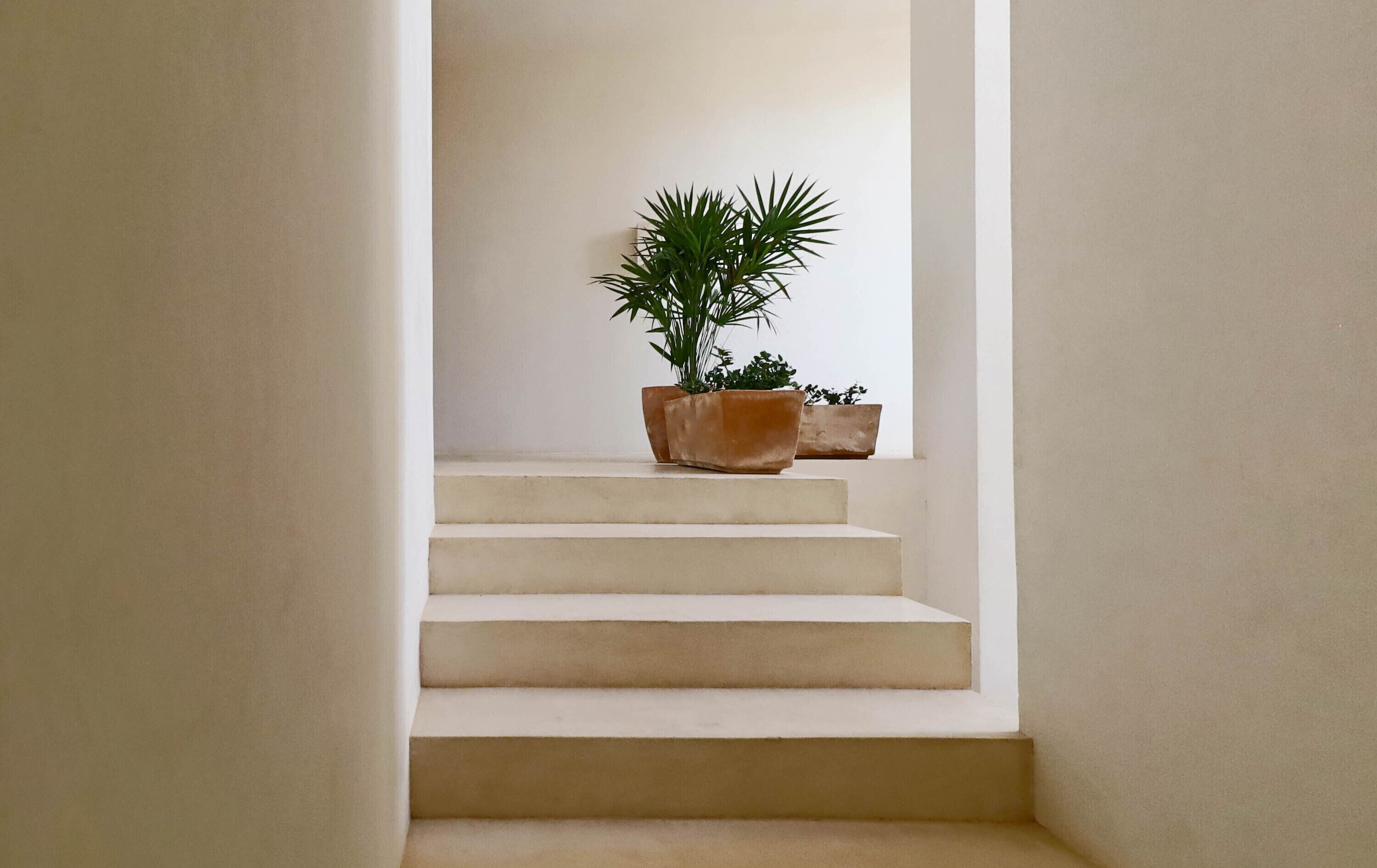 Détail de l’intérieur