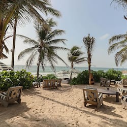 Bar sulla spiaggia