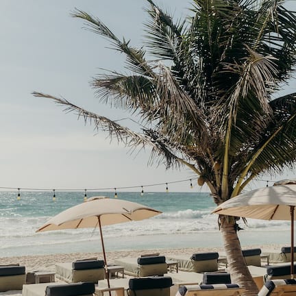 A beach with lounge chairs and umbrellas, palm trees, and the ocean in the background.