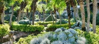 WOW Villa Papa Jaguar Avocado Farm and Estate in the Hills of Antigua