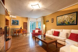 Een smart-tv, boeken, een muziekbibliotheek en een stereo