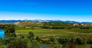 Unclassified image, 5 of 24, button