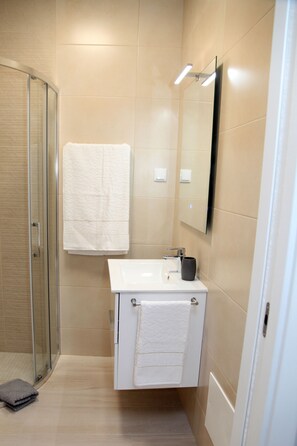 Shower, hair dryer, bidet, towels