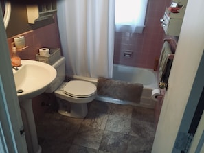 Bathtub, hair dryer, soap, toilet paper