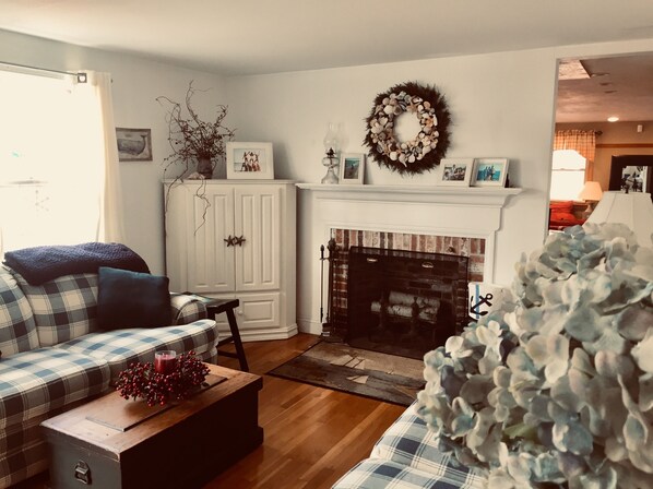 Smart TV, fireplace, DVD player, books