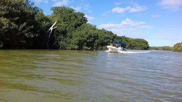 Un bote con toldo azul en un río rodeado de vegetación densa.