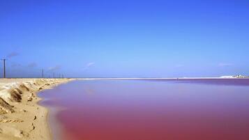 Een uitgestrekt, kalm wateroppervlak met een zandstrand en een helderblauwe lucht.