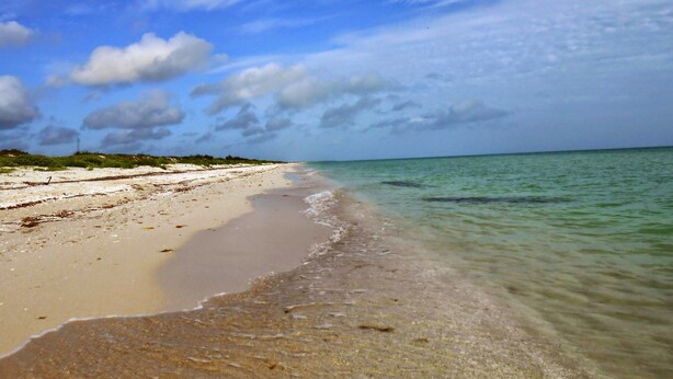 A beach with clear water and a sandy shore. - Hotel Punta Ponto (Río Lagartos)