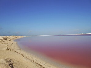 生态旅游
