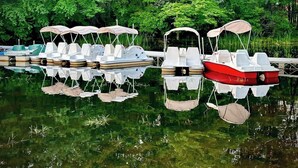 Una fila de botes a pedal en un lago tranquilo, con abundante vegetación al fondo.