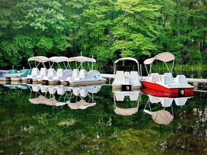 Marina - Designer Cabin • 3-Min Walk to Exclusive Lake Club! 2-Min Drive to Ski Lifts! (Lake Harmony)