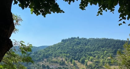 Homerez - Manor in Satillieu