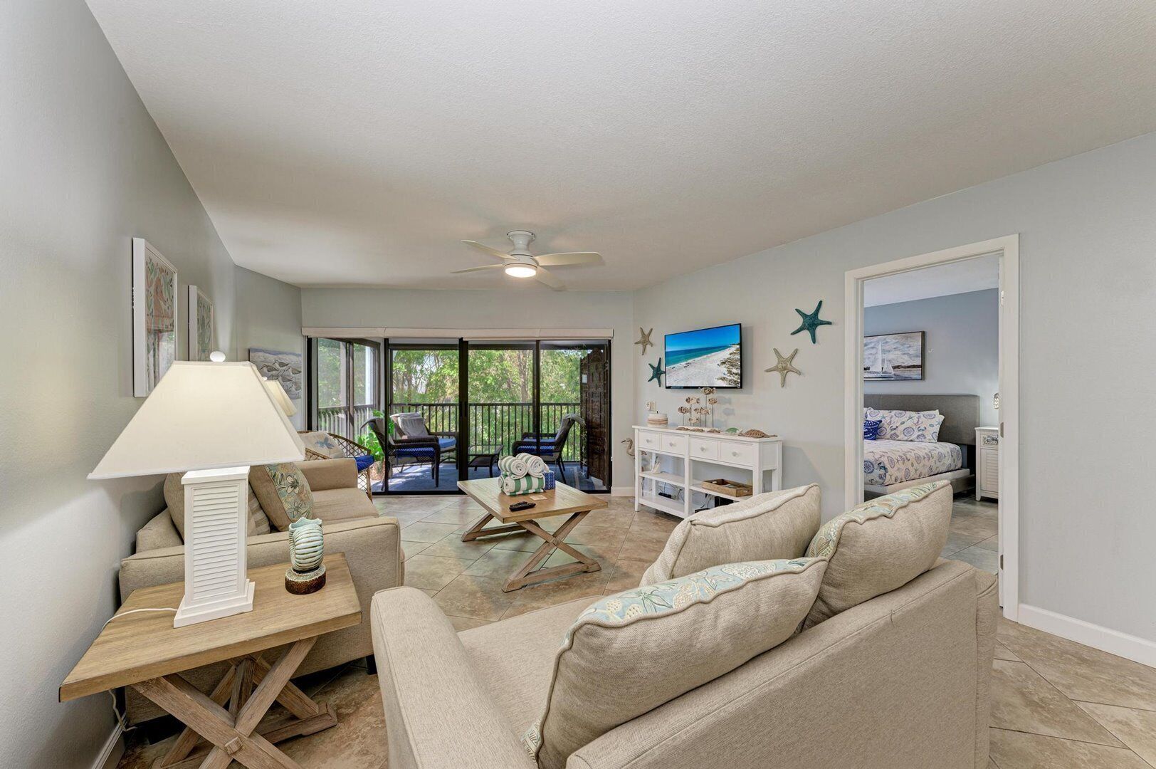 Televisio, DVD-soitin