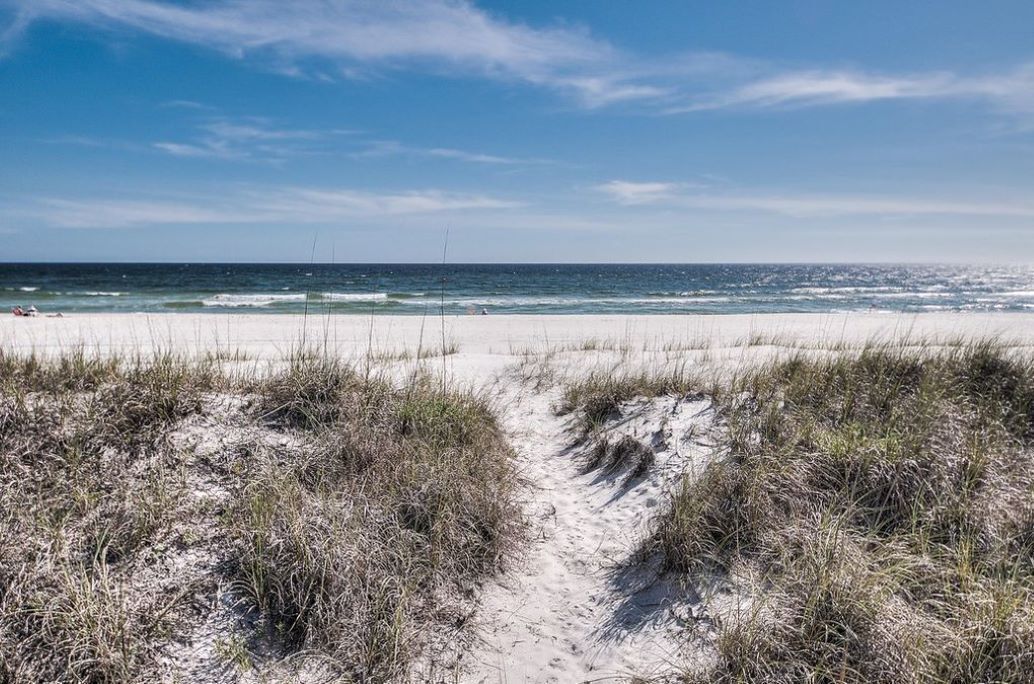 A beach with a sandy path leading to the ocean, under a clear sky.