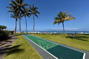 A green shuffleboard court with palm trees and a view of the ocean.