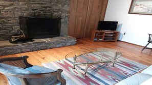 Smart TV, chimenea y libros 