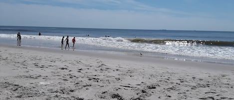 Beach nearby, sun-loungers