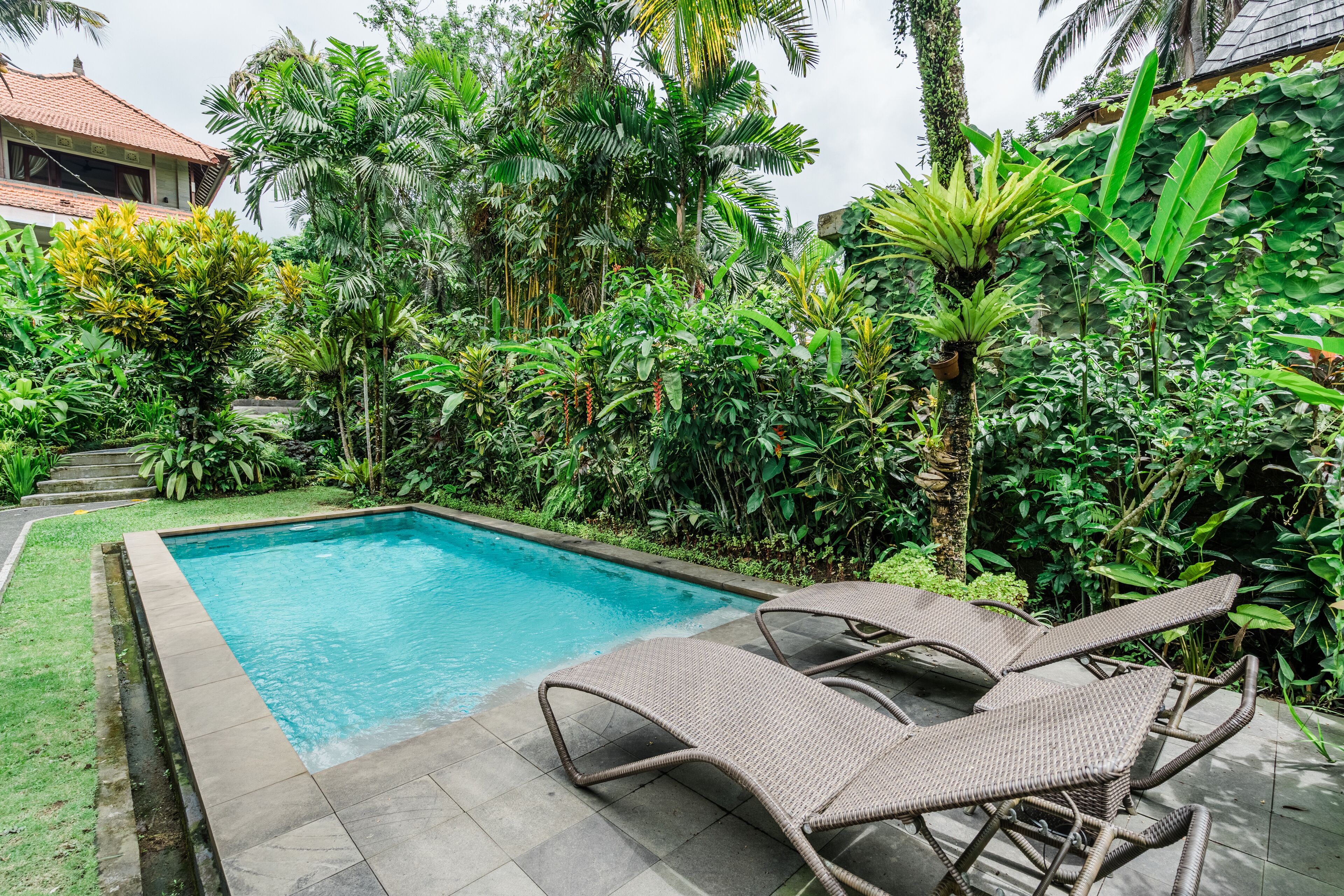 Una piscina con lettini, circondata da vegetazione lussureggiante e una casa sullo sfondo.