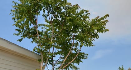 Baby Blue Sky - Remodeled with Nearby Trails