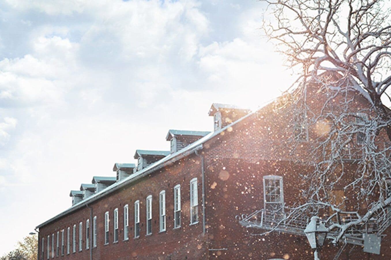 A red brick building with multiple windows and a tree with bare branches.