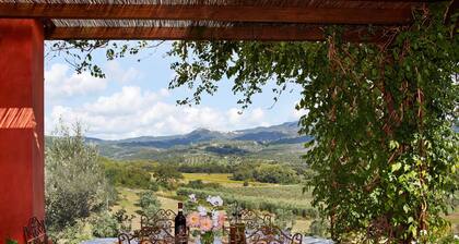 Lomamökki yksinoikeudella uima-altaalla Toscanan Maremmassa