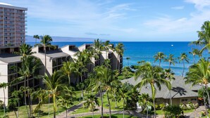 Un hotel con varios pisos, palmeras y vista al océano.