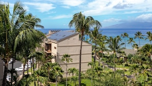 A resort with a view of the ocean, palm trees, and solar panels on the building.