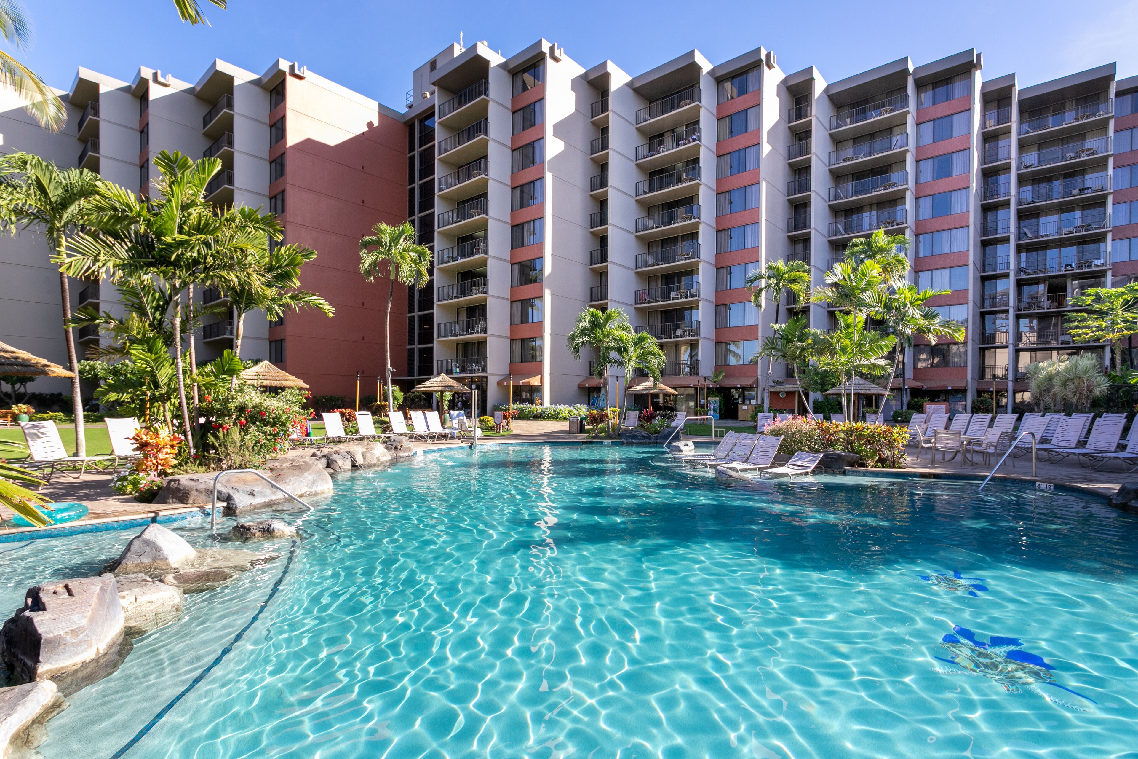 Un hotel con piscina, palmeras y sillones de descanso.