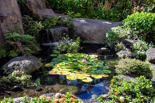 A serene pond with lily pads, a small waterfall, and lush greenery.