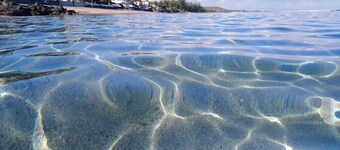 Appart "Rev'Alizé" au cœur du lagon de la Saline