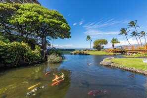 Property grounds - Aston Whaler on Kaanapali #619: Gorgeous 1 Bedroom Ocean View Suite, Sleeps 4 (Lahaina)