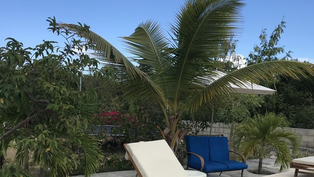 Zona de piscina con sillones, una piscina pequeña y plantas tropicales.