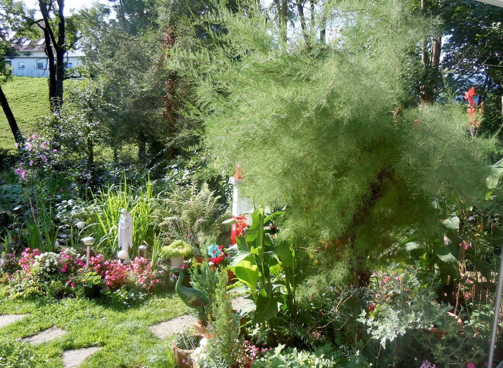 A garden with a variety of plants and flowers, a bird sculpture, and a house in the background.